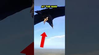 A Bird's Heartwarming Moment With Paraglider Goes Viral🤯 #animalshorts #animalrescue #shortsfeed