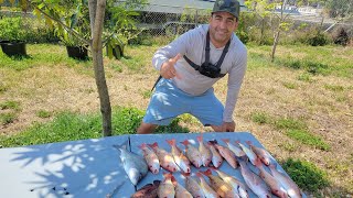 Una pesca divertida de Biajaiba