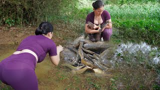 Unexpected results after the flood passed, catching many very large wild fish in the puddles