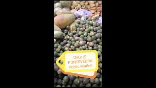 ONLY @ PONTEVEDRA, CAPIZ PUBLIC MARKET