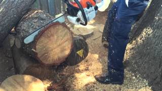 Stihl MS 660 Magnum Woods Ported