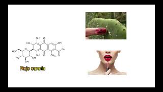 Introducción a la Química Orgánica, parte 1