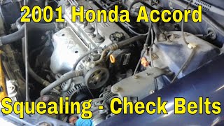 2001 Honda Accord Squealing Noise - Alternator & PS Pump Check