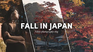 Fall in Japan is just something else...