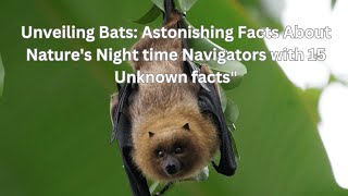 Unveiling Bats: Astonishing Facts About Nature's Night time Navigators with 15 Unknown facts"