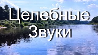 Целебные Звуки Воды Релакс Видео Звуки Природы и Спокойная Музыка