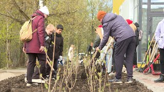 Акция «Сирень Победы»