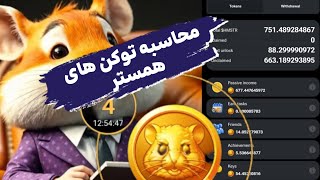 تعداد توکن های همستر مشخص شد | توضیحات کامل و آموزش محاسبه Hamester Kombat