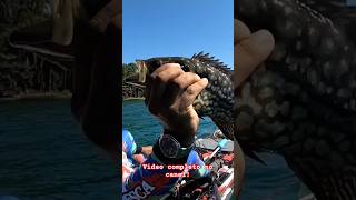 Estreia do uniforme!! #pescaria #pescaesportiva #fishing #viral #shortvideo #videoviral #pescador