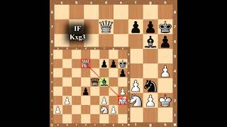 New blood  16 y.o   Rameshbabu Praggnanandhaa against world champion👀👀 spectacular endgame 👀👀