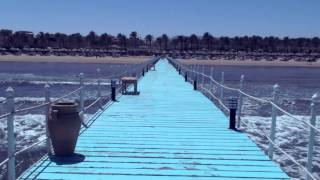 Sharm El Sheikh 2015 | Шарм Эль Шейх | Rixos Sharm El Sheikh Resort ♡ Dolphin ♡ Diving