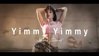 YIMMY YIMMY SLOWED REVERB | TAYC | SHREYA GHOSHAL | 2024 | BOLLYWOOD | #yimmyyimmy