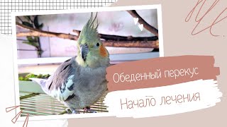 Влог l Вкусно обедаем и готовимся к лечению.