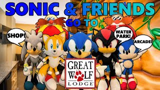 Sonic Plush - Sonic and Friends go to Great Wolf Lodge 2!