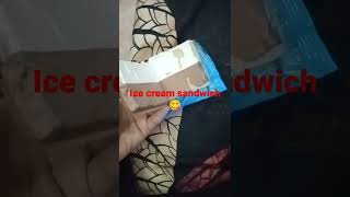 kwality walls ice cream sandwich with double flavor