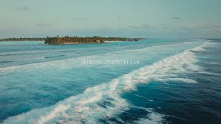 Secrets of Reethi Rah – Sea Turtle Conservation in the Maldives