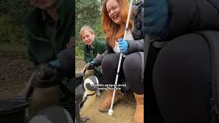 Blind woman feeds blind penguin 🐧