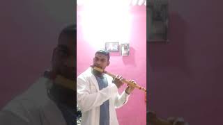 Pachtaoge song flute cover by harshad 👍