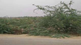 Enjoy#thar#weather#