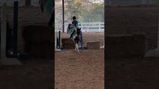 Harley blew me away with this 2’6 jump. She was incredible. #equestrian #perfect #subscribe