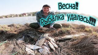 рыбалка весна 2019 КАРП, АМУР, ЛИНЬ, ЛЕЩ, ФОРЕЛЬ в одном улове! карпфишинг на поплавок