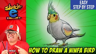 How to draw a Cockatiel bird or Ninfa bird step by step easy.