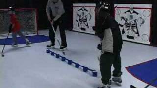 Synthetic Ice