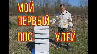 Мой первый улей ППС на пасеке. Так ли хороши ППС  ульи. Полный обзор улья от компании "пеноулик".