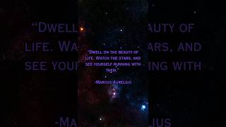 Stoicism Quotes | Marcus Aurelius #philosophy #stoicism #marcusaurelius