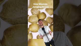 What’s inside #mexicanjumpingbeans