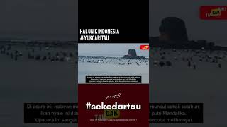 Hal unik Indonesia #shorts #videoshort #baunyale #halunikindonesia