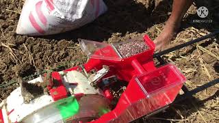 Corn maize planting using push seeder/ Paano magtanim ng mais gamit ang corn planter PIONEER seeds