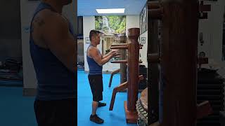 108 Wooden Dummy - Wing Chun - Sifu Freddie Lee