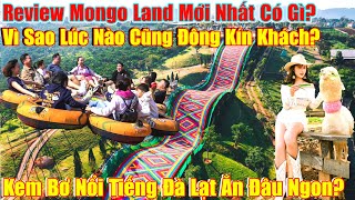 Đà Lạt Mongo Land Có Gì MÀ Lúc Nào Cũng Đông? Kem Bơ Ngon