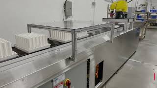 Robotic Assisted Tray Server Machine