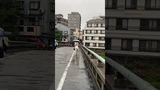 颱風雨 日本 京都 四条 鴨川 ｜Typhoon, Japan, Kyoto, Shijo, Kamogawa