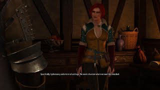 The Witcher 3: Wild Hunt- Mission 33- Blindingly Obvious