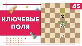 Ключевые поля в пешечном эндшпиле | Основы Эндшпиля | Chess Up! School #45