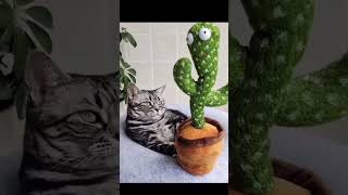 Cat enjoying with cactus 🌵 toy 🌵🐈#catlover #animals #fun #cats