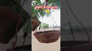 गर्मियों में पक्षीयों के लिए पानी 🙏#rajasthan #villagelife #youtubeshorts #vairal #video#gaav