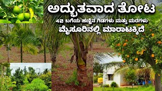 BEAUTIFUL FULLY DEVLOPED FARMLAND WITH HOUSE, MYSORE, T NARASIPURA, Charan 7338474634 .