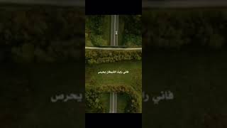 اسمع الكلام ده👍وطمن قلبك💚