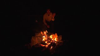 ASMR Campfire on a Calm Summer Night in the Forest (Crackling Fire, Whip-poor-will Sounds)