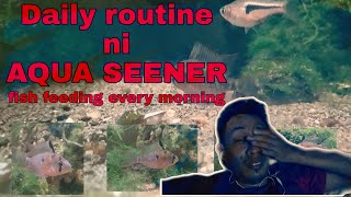 fish feeding (morning routine)guppy,tiger,betta,angelfish,goldfish by aqua seener