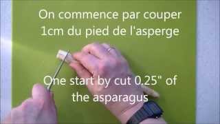 Comment préparer des asperges - How to prepare asparagus