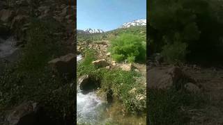 nomads moved to cool areas ( Yeilagh) | Koshgozar, Eghlid, Iran #shorts #nomad #lifestyle #nature