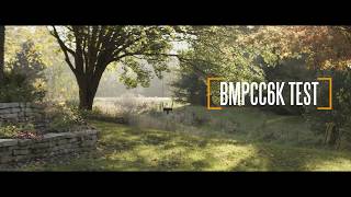 Black Magic Pocket Cinema Camera 6k Anamorphic Lens Test Isco Micro Gold