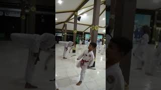 Kembangkan Selalu Teknik Tendanganmu ll Fighting Training!! #fighting #taekwondo