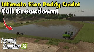 How Do Rice Paddy Fields Work In Farming Simulator 25 - Full Breakdown On Rice Paddy Fields!