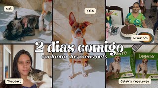 2 DIAS COMIGO | VLOG, LEVEI MEU GATO E MINHAS CACHORRAS NO VETERINÁRIO, NIVER VÓ, COLEIRA REPELENTE